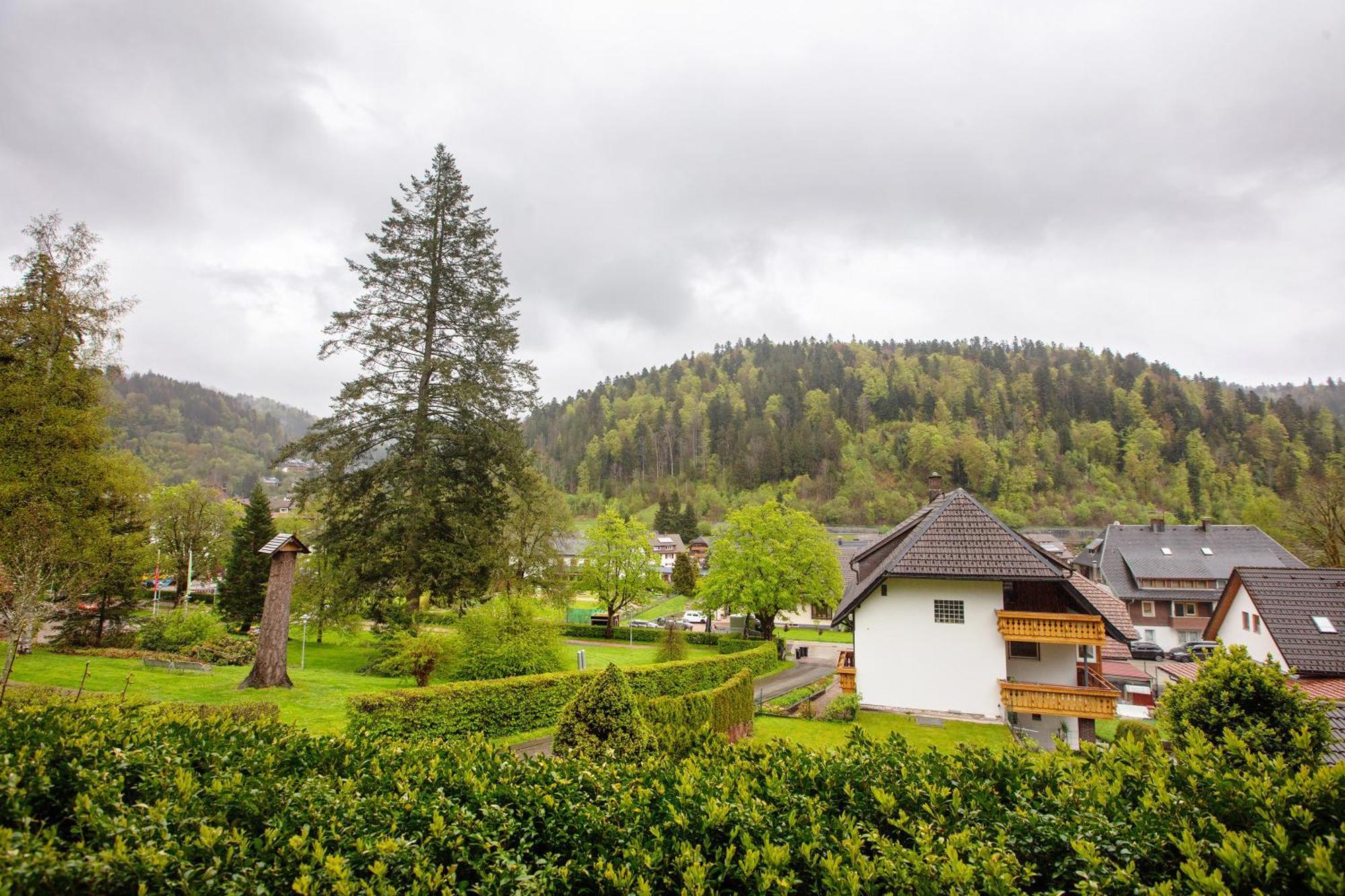 Villa Haus Kurparkblick Todtmoos Exterior foto